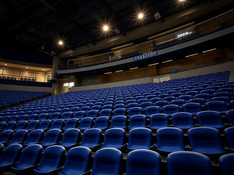 Bleacher Seating example